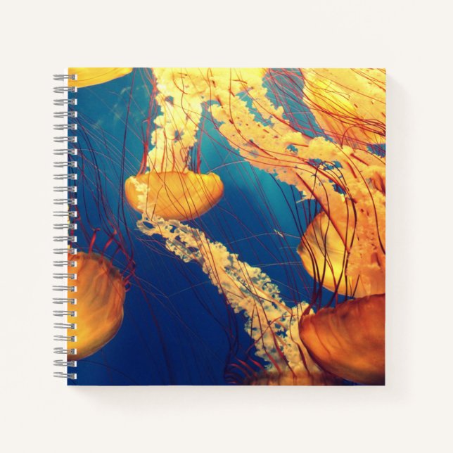 8.5" x 8.5" Spiral Notebook (Front)