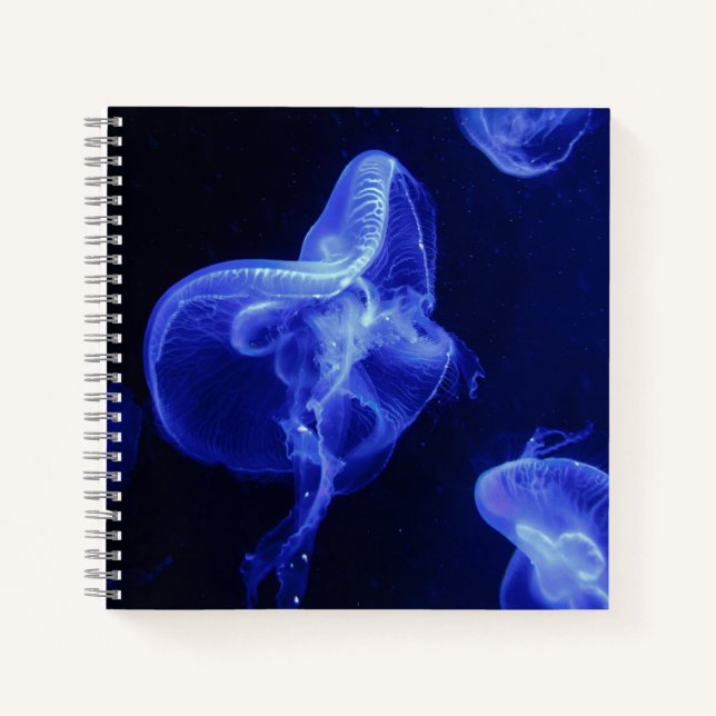 8.5" x 8.5" Spiral Notebook (Front)