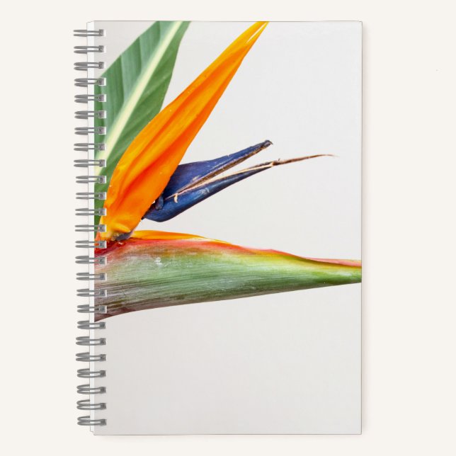8.5" x 8.5" Spiral Notebook (Front)