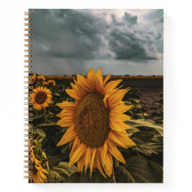 8.5x11 Notebook