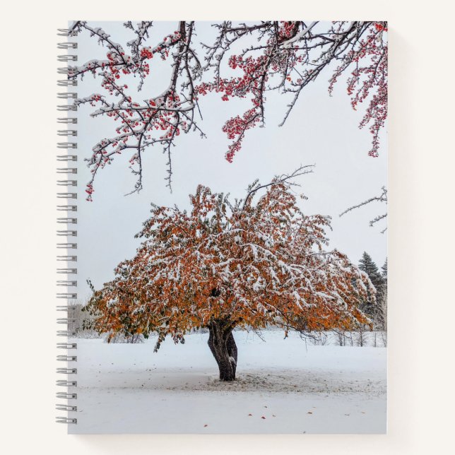 8.5x11 Notebook (Front)