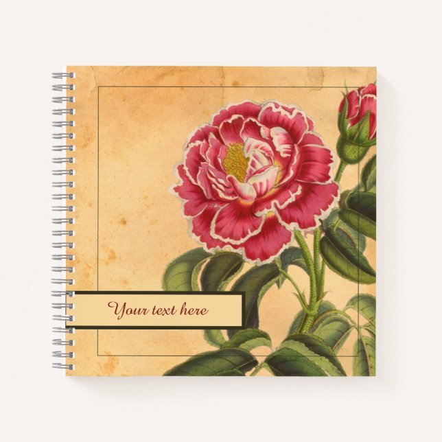 8,5x8,5" Rose de Provence Notebook (Front)