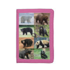 8 bears of the world