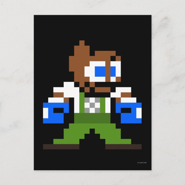 8-Bit Dudley Postcard (Front)