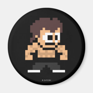 8-Bit Fei Long Magnet