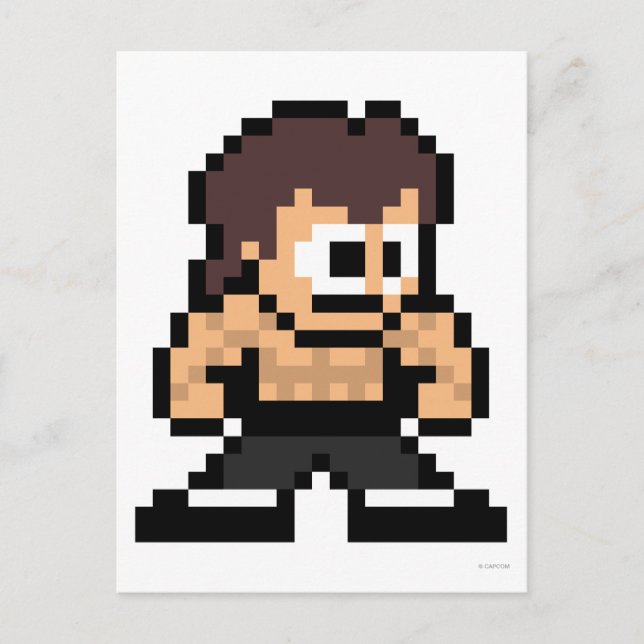 8-Bit Fei Long Postcard (Front)