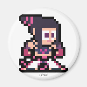 8-Bit Juri Magnet