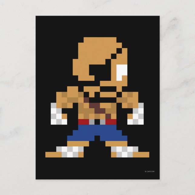 8-Bit Sagat Postcard (Front)