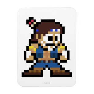 8-Bit T. Hawk Magnet