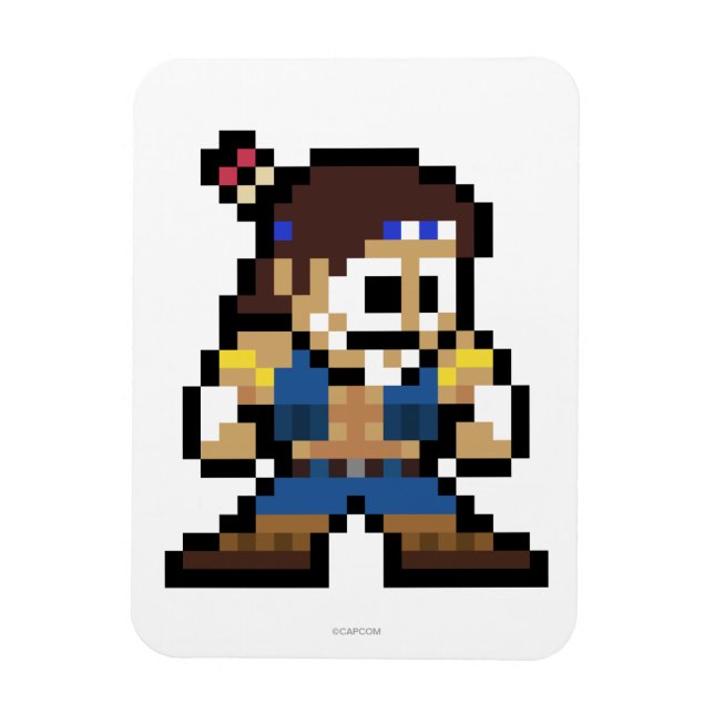 8-Bit T. Hawk Magnet (Vertical)