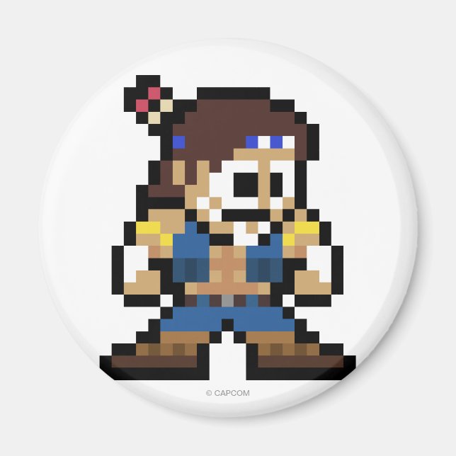 8-Bit T. Hawk Magnet (Front)