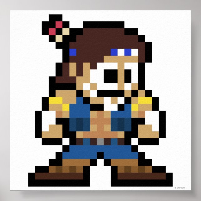 8-Bit T. Hawk Poster (Front)