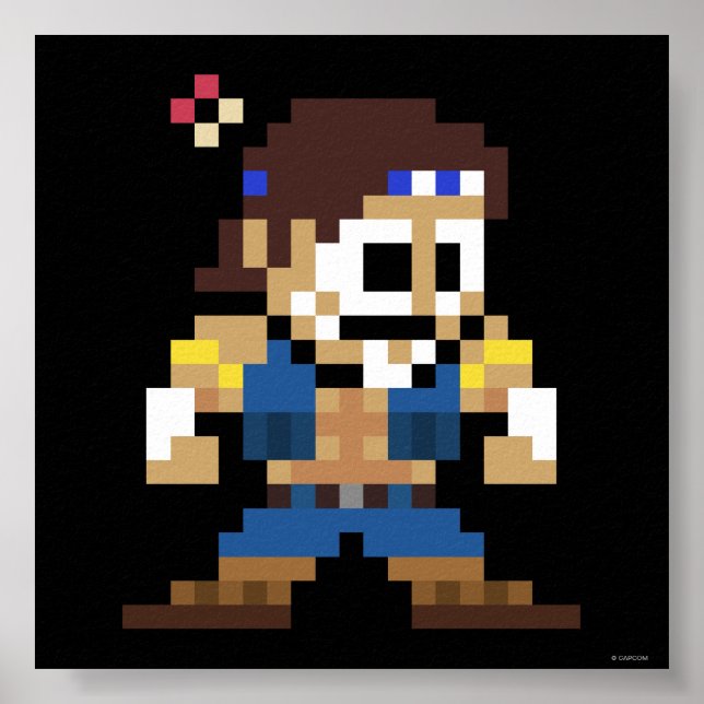 8-Bit T. Hawk Poster (Front)