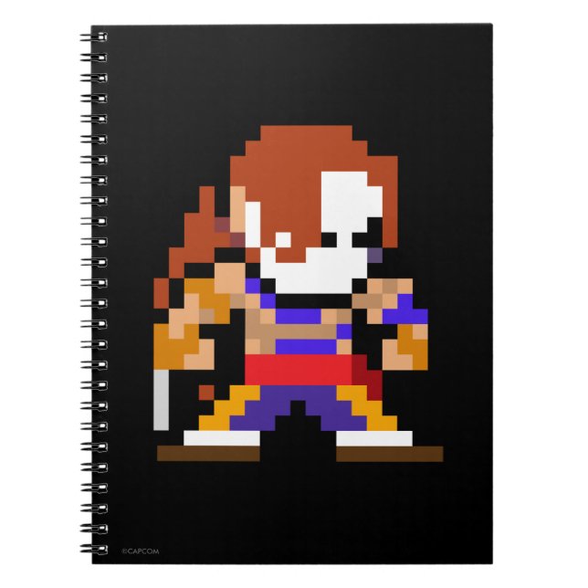 8-Bit Vega Notebook (Front)