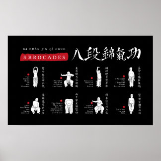 8 Brocades Ba Duan Jin QiGong Poster