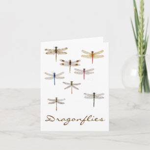 8 Dragonflies Card