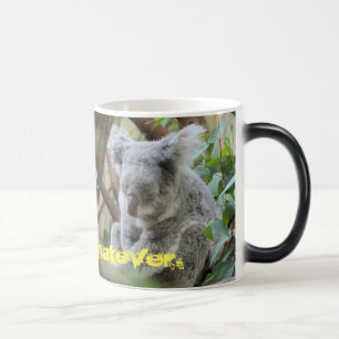 8 hours of sleep - in 4 days! magic mug