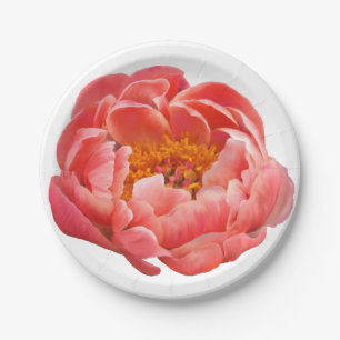8 Paper Plates Coral Peony