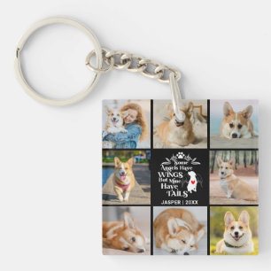 8 Photo Collage Animaux de compagnie Chien Perte S