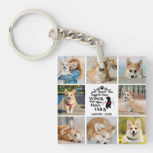 8 Photo Collage Animaux de compagnie Chien Perte S
