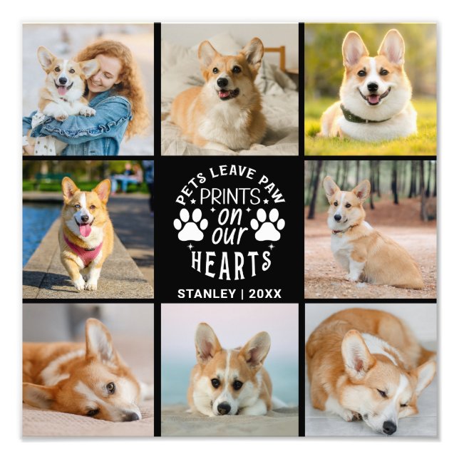 8 Photo Collage Animaux de compagnie Souvenir Élar (Devant)