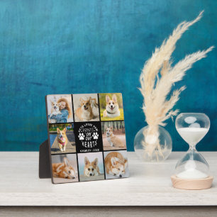 8 Photo Collage Pet Memorial Remembrance Plaque
