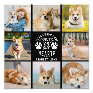 8 Photo Collage Pet Remembrance Photo Enlargement