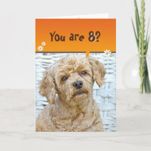 8th birthday brown poodle on wicker card