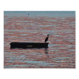 8X10 Great Blue Heron Silouhette Photo Print