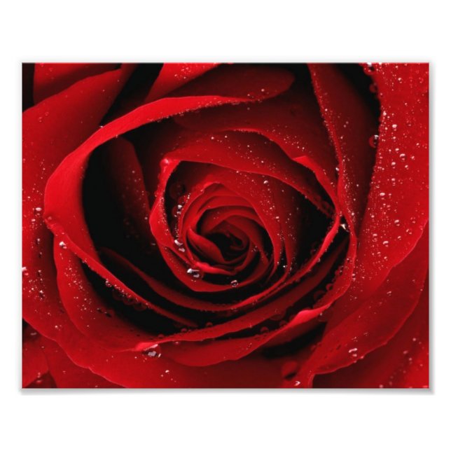 8x10 Photo print (Front)