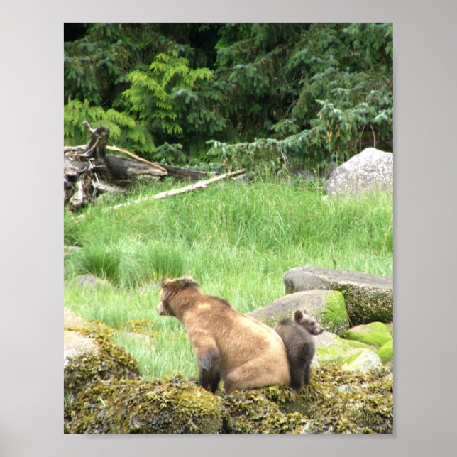 8x10 Poster Papier (Matte) de grizzli & petit (Devant)
