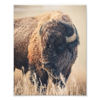 8x10 Print - Frosty Morning