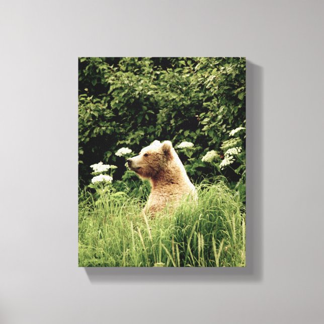 8x10 Stretched Canvas Print w/ grizzly bear (Front)
