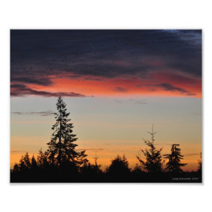 8X10 Sunrise and Trees Photo Print
