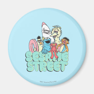 90's Sesame Street Vintage Surf Magnet