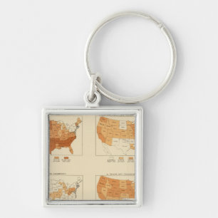 91 Proportions in occupations 1900 Keychain