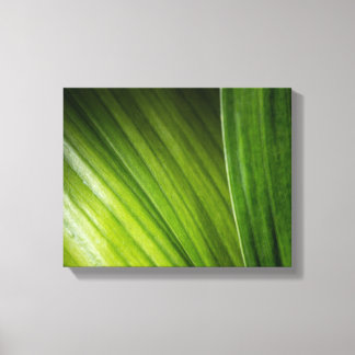 9206-Green Leaves Canvas Print