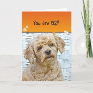 92nd birthday brown poodle on wicker card