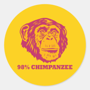 98% Chimpanzee Classic Round Sticker