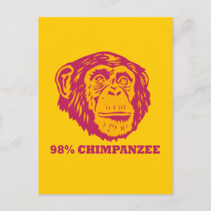 98% Chimpanzee Postcard