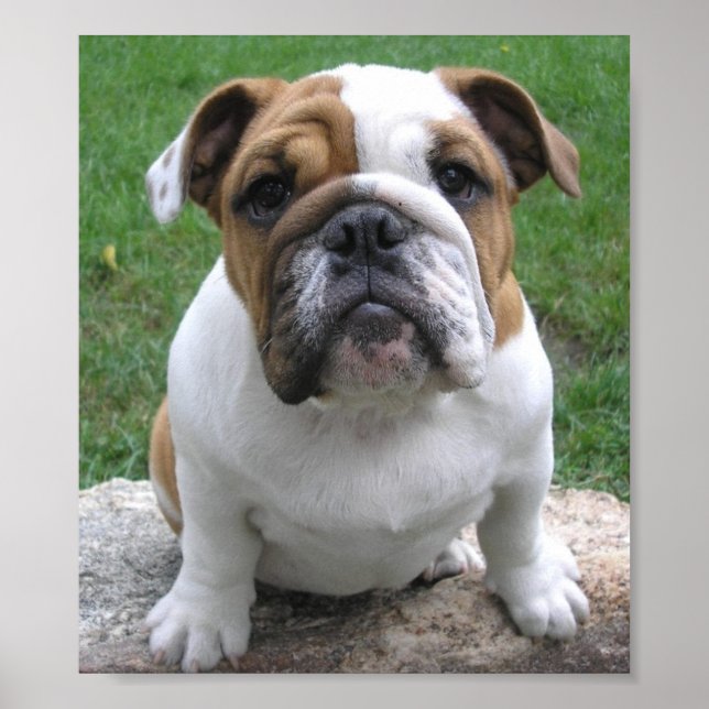 9-17-05 003 POSTER (Front)