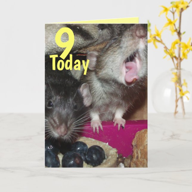9 aujourd'hui Baby rats carte de voeux d'anniversa (Fleur jaune)