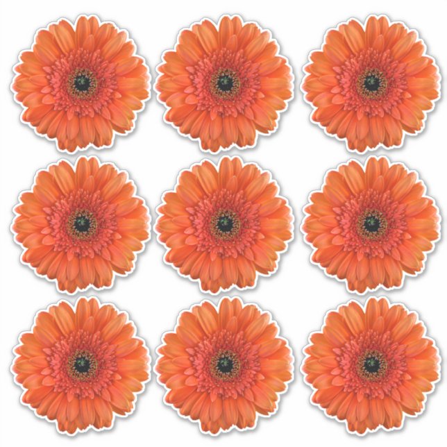 9 autocollants en forme de fleur de gerbera orange (Devant)