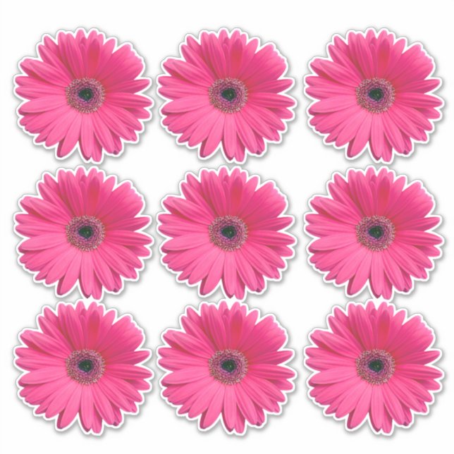 9 autocollants Kiss-Cut de fleurs de gerbera rose (Devant)