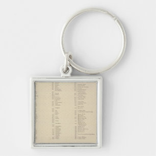 9 Congressional Districts Keychain