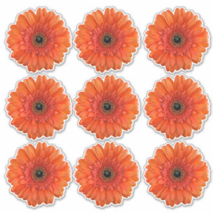 9 Orange Gerbera Daisy Flower Kiss-Cut Stickers