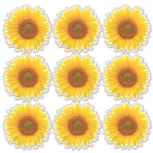 9 Stickers Fleur de tournesol orange jaune Kiss-Cu