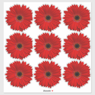 9 Stickers Kiss-Cut Fleur Gerber Rouge