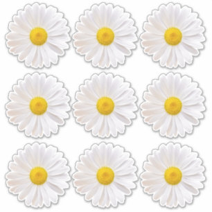 9 Stickers Shasta Daisy Flower Kiss-Cut
