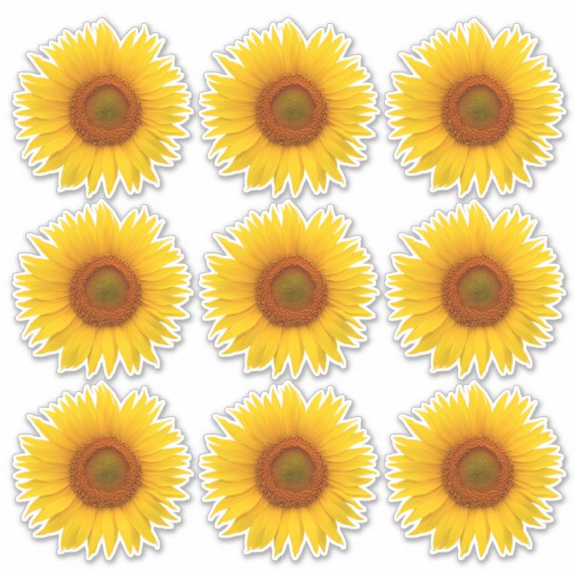 9 Yellow Orange Sunflower Flower Kiss-Cut Stickers (Front)